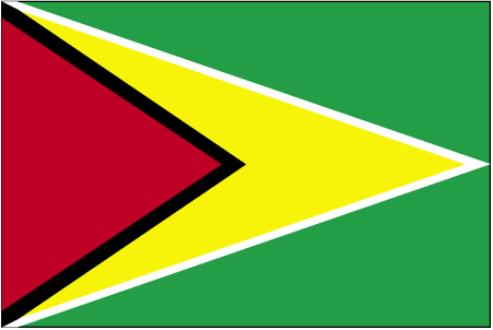 International Movers from to Guyana