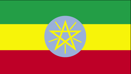 International Movers from to Ethiopia